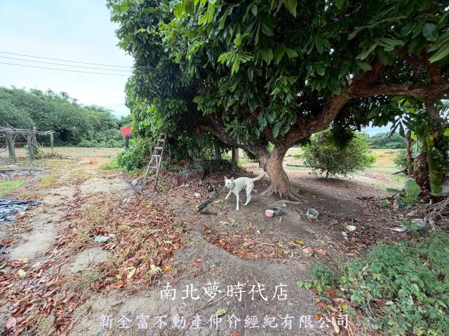 高雄路竹農地-3