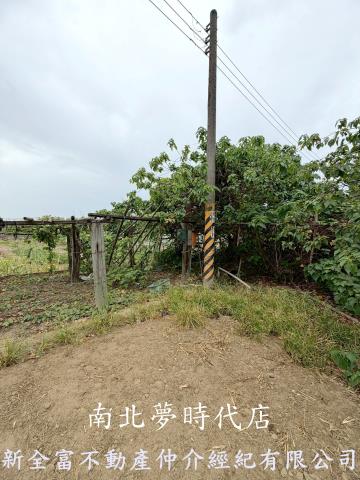 高雄路竹農地-8