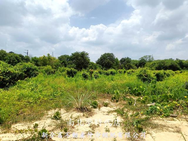 新化農地-5