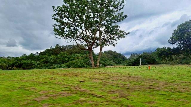 寶山山坡地-0