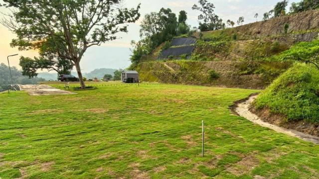 寶山山坡地-2
