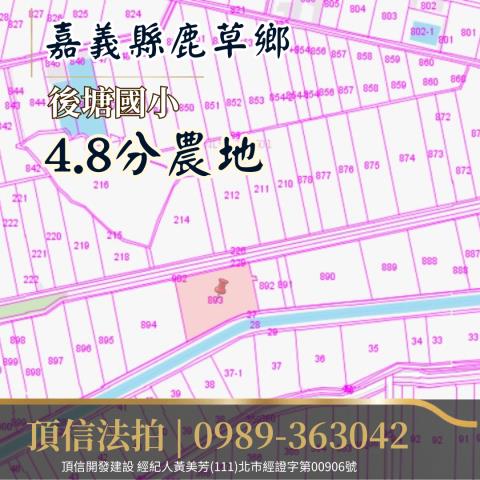 嘉義法拍農地-2