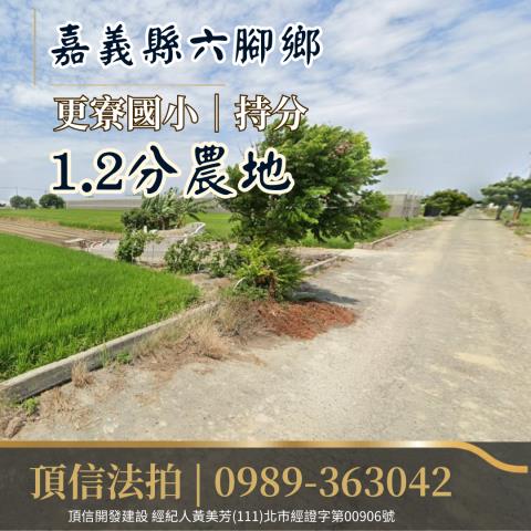 嘉義農地法拍-1
