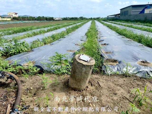 台南東山農地-0
