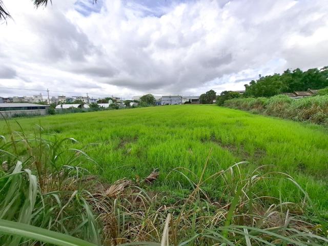 楊梅新富車站方正美農地