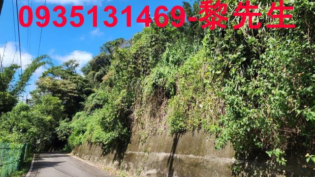 芎林林地-3