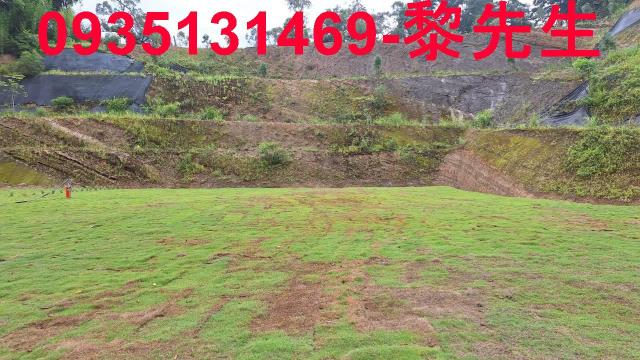 寶山土地寶山林地