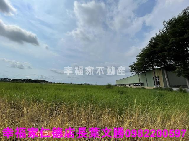 台南農地-6