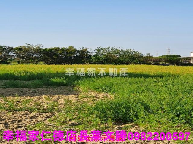 台南善化農地-11