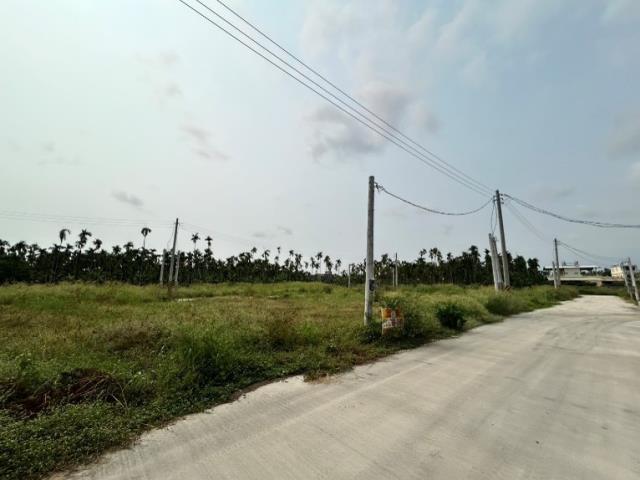 屏東佳冬農地-0