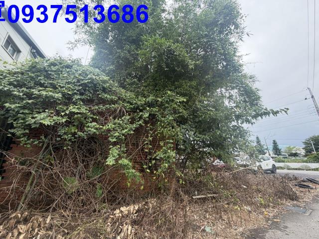 宜蘭縣宜蘭市新張段建地出售