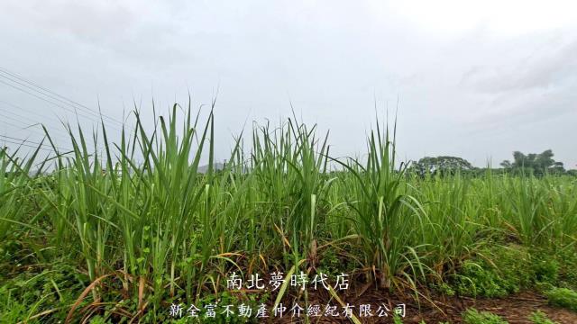 楠西農地-10
