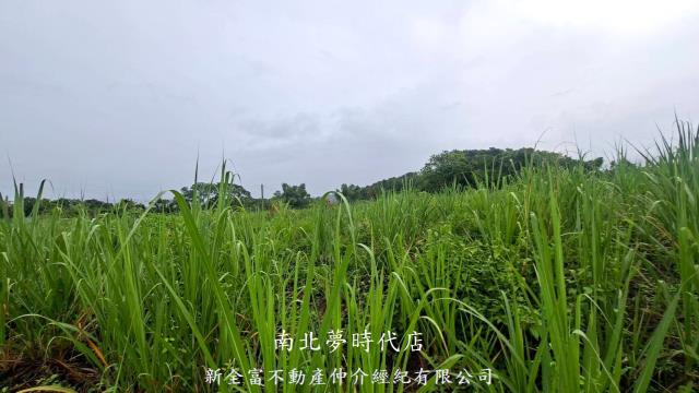 楠西農地-12