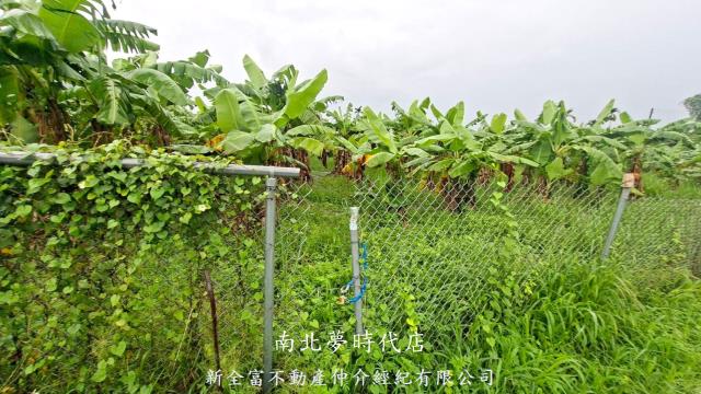楠西農地-2