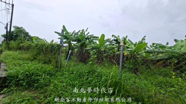 楠西農地-5