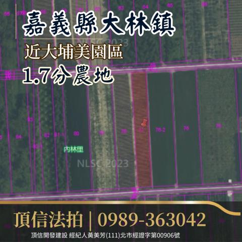 嘉義大林農地法拍-2