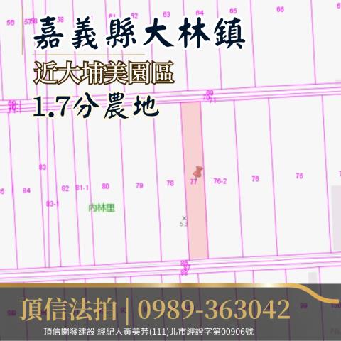 嘉義大林農地法拍-3