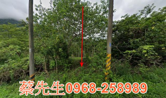 富里鹽桑寮農保地可蓋資材室可做農保