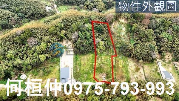 銅鑼土地買賣出售銅鑼休閒地出售買賣