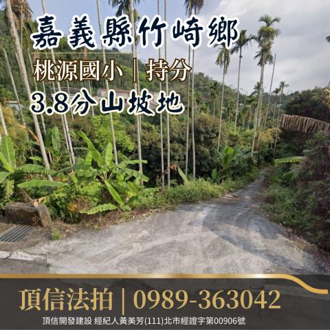 法拍嘉義竹崎桃源國小38分持分山坡地
