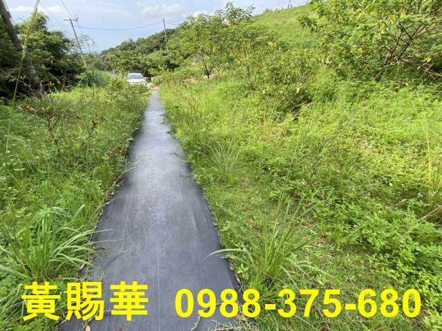 桃園農地-4