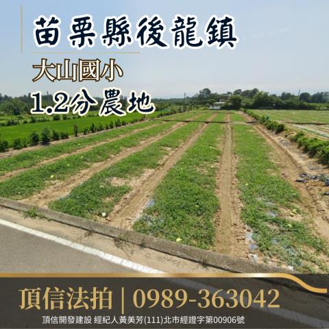 法拍苗栗後龍大山國小12分農地