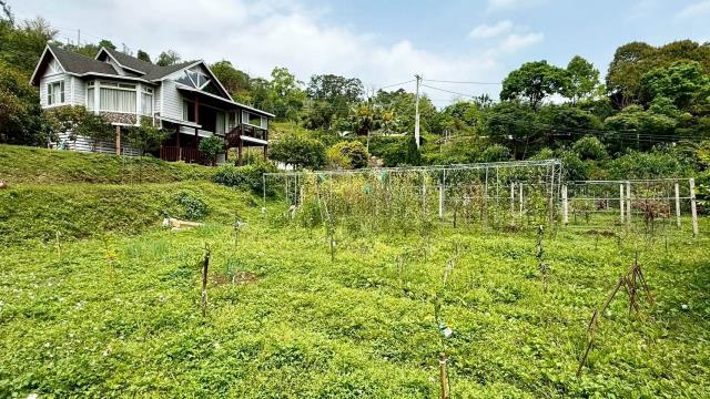 新竹峨眉農地-13