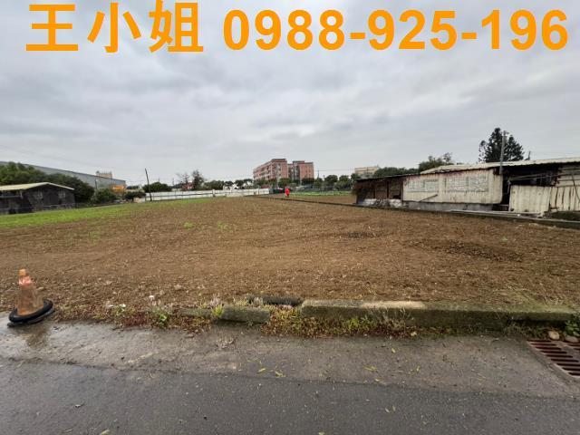 桃園蘆竹農地-2