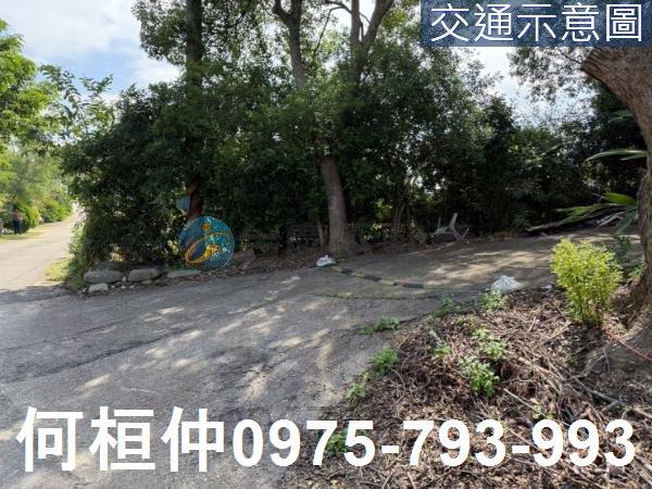 苗栗通霄農地-1