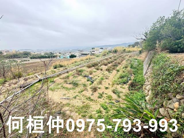 苗栗銅鑼農地-9