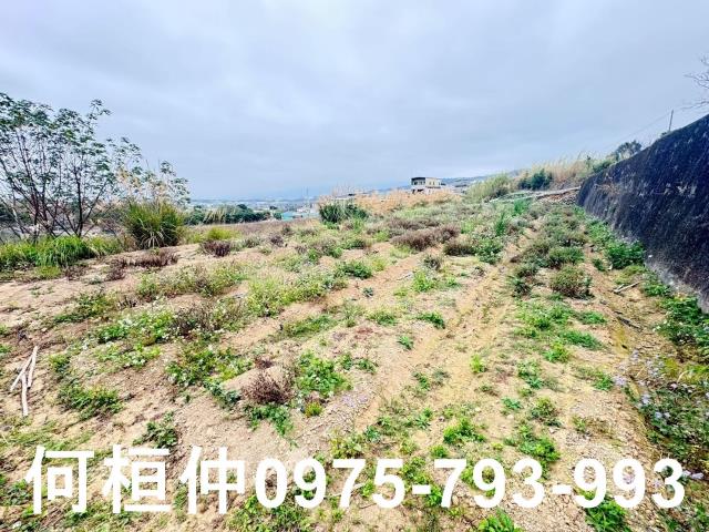 苗栗銅鑼農地-10