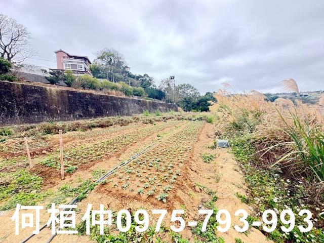 苗栗銅鑼農地-11