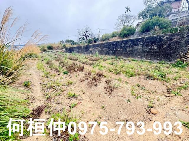 苗栗銅鑼農地-12