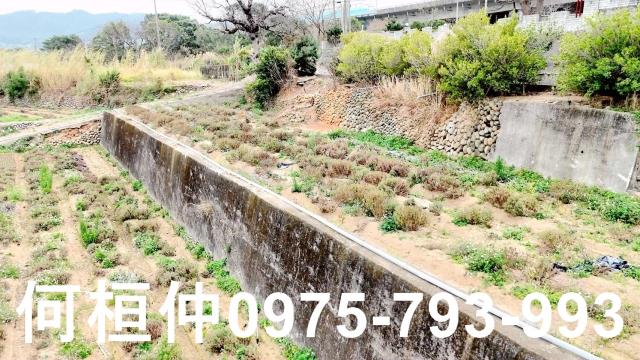 苗栗銅鑼農地-4