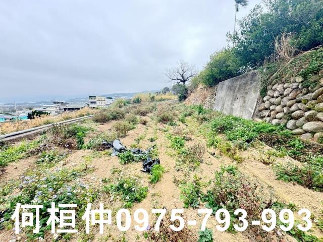 苗栗銅鑼農地-6