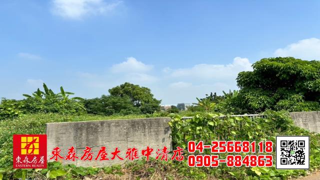 台中清水農地-2