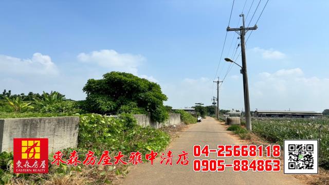 台中清水農地-3