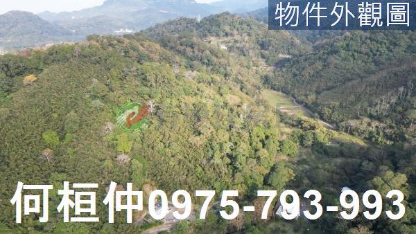 苗栗南庄農地-1