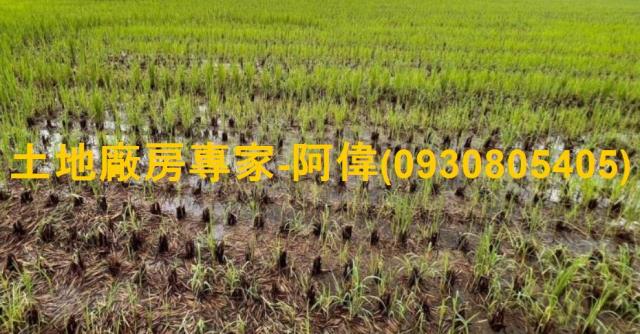 高雄仁武農地-0