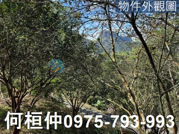 苗栗泰安山坡地-1