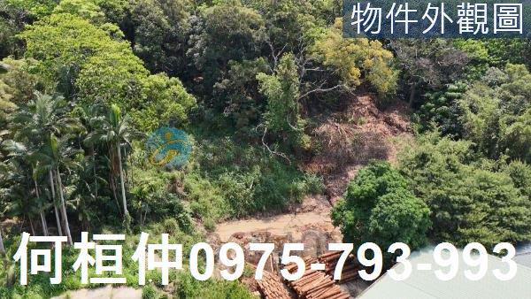 苗栗造橋水利用地-0