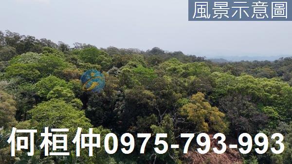 苗栗造橋水利用地-3