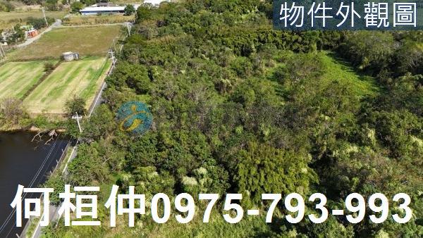 通霄農場通霄農地苗栗農地