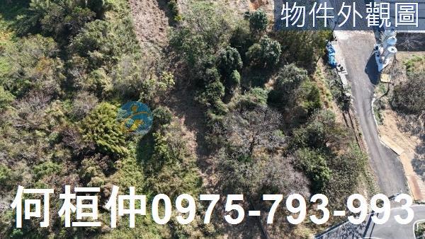 苗栗通霄農地-1