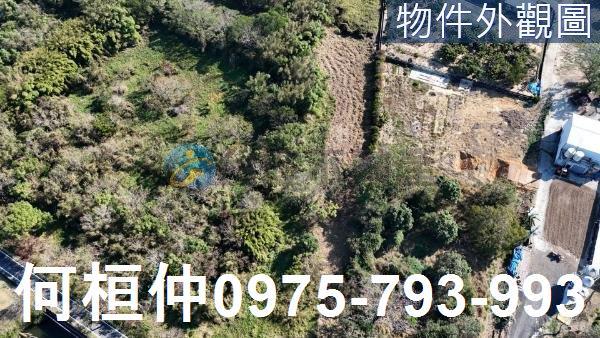 苗栗通霄農地-2