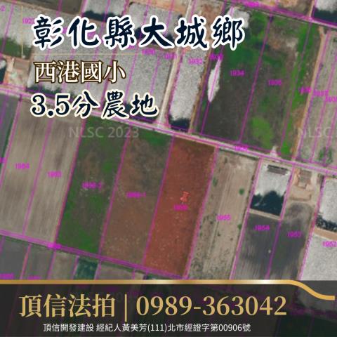 彰化大城法拍農地-2
