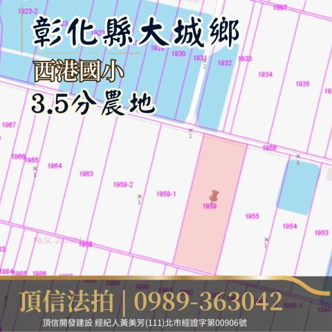 彰化大城法拍農地-3