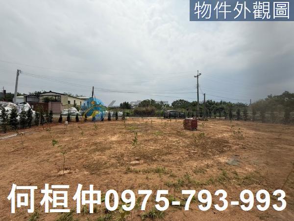 苗栗通霄農地-2