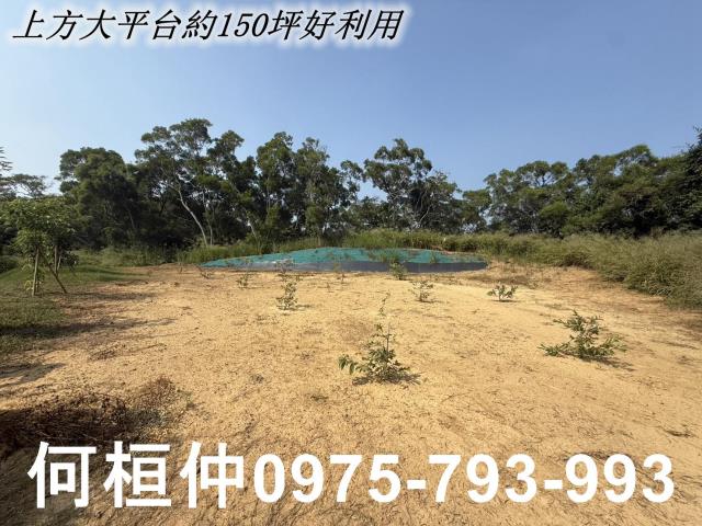 苗栗苑裡農地-9