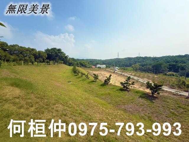 苗栗苑裡農地-6